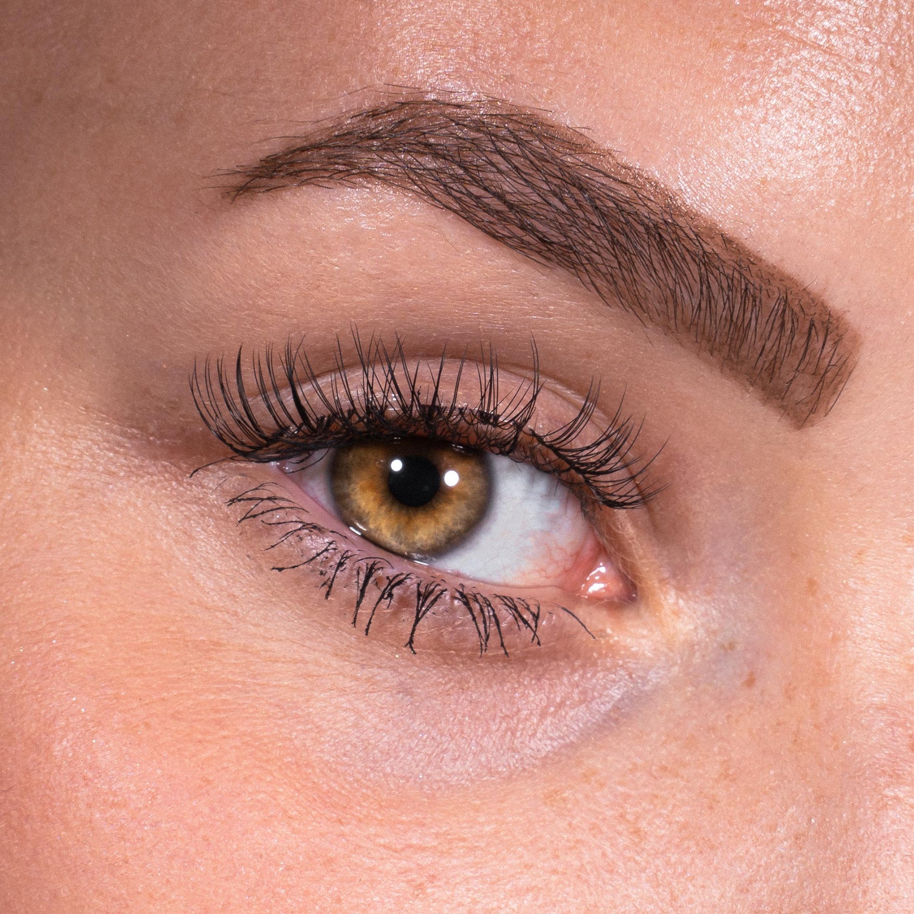 Bandless Lash Set - Adorable