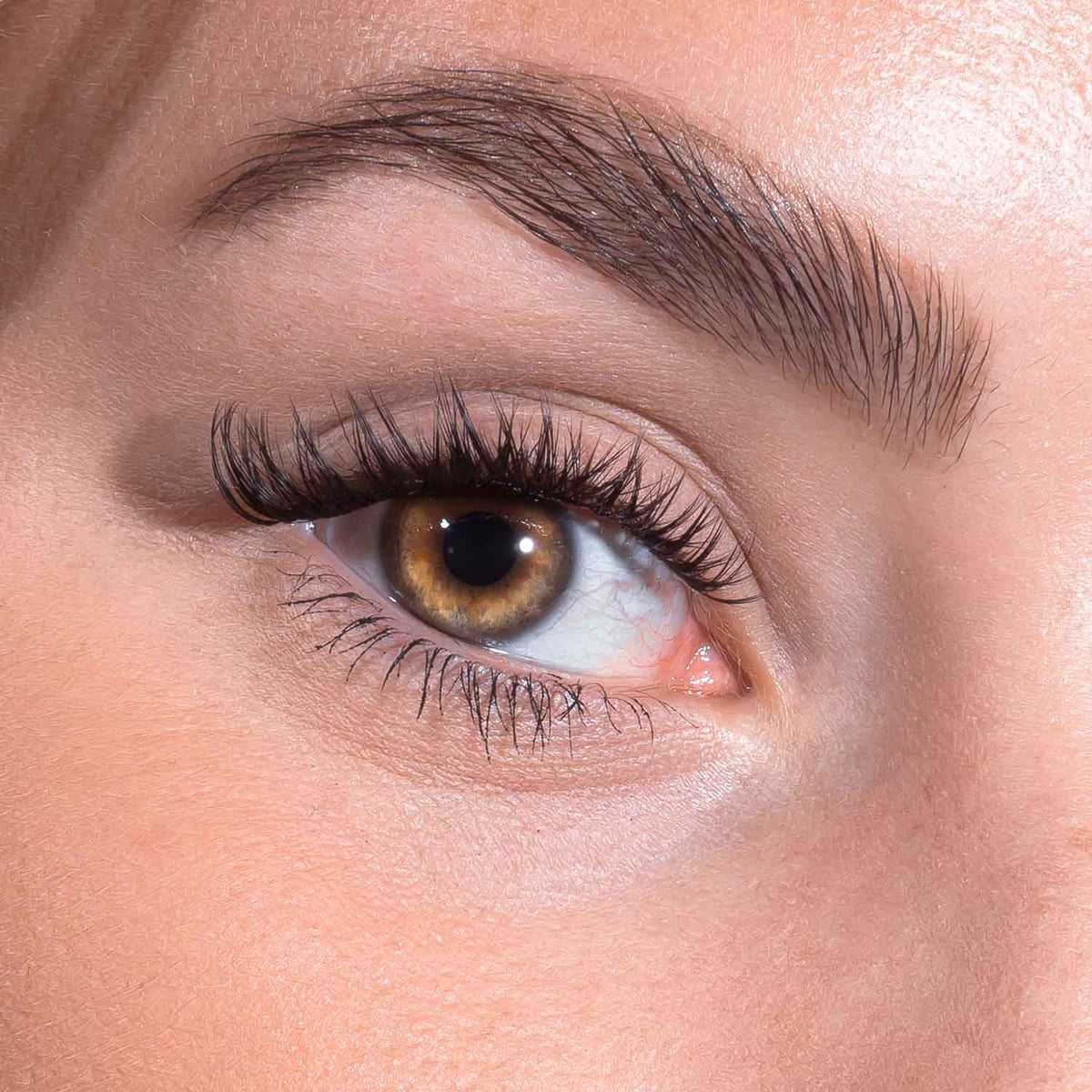 DIY Lash Starter Set - Awesome