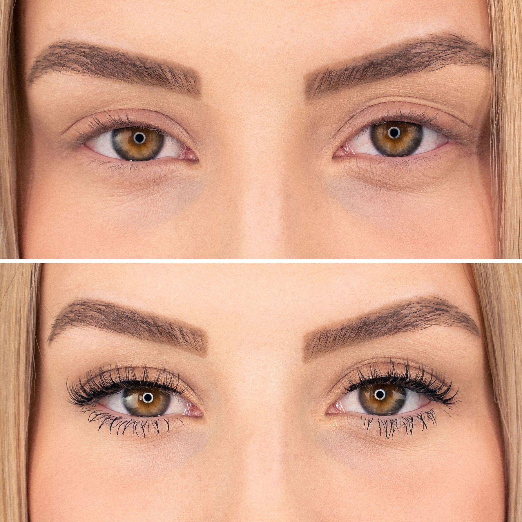 Bandless Lashes - Confident Bundle