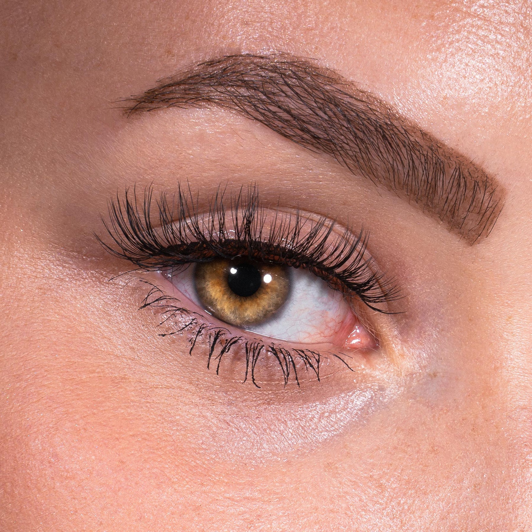 Bandless Lash Set - Coco
