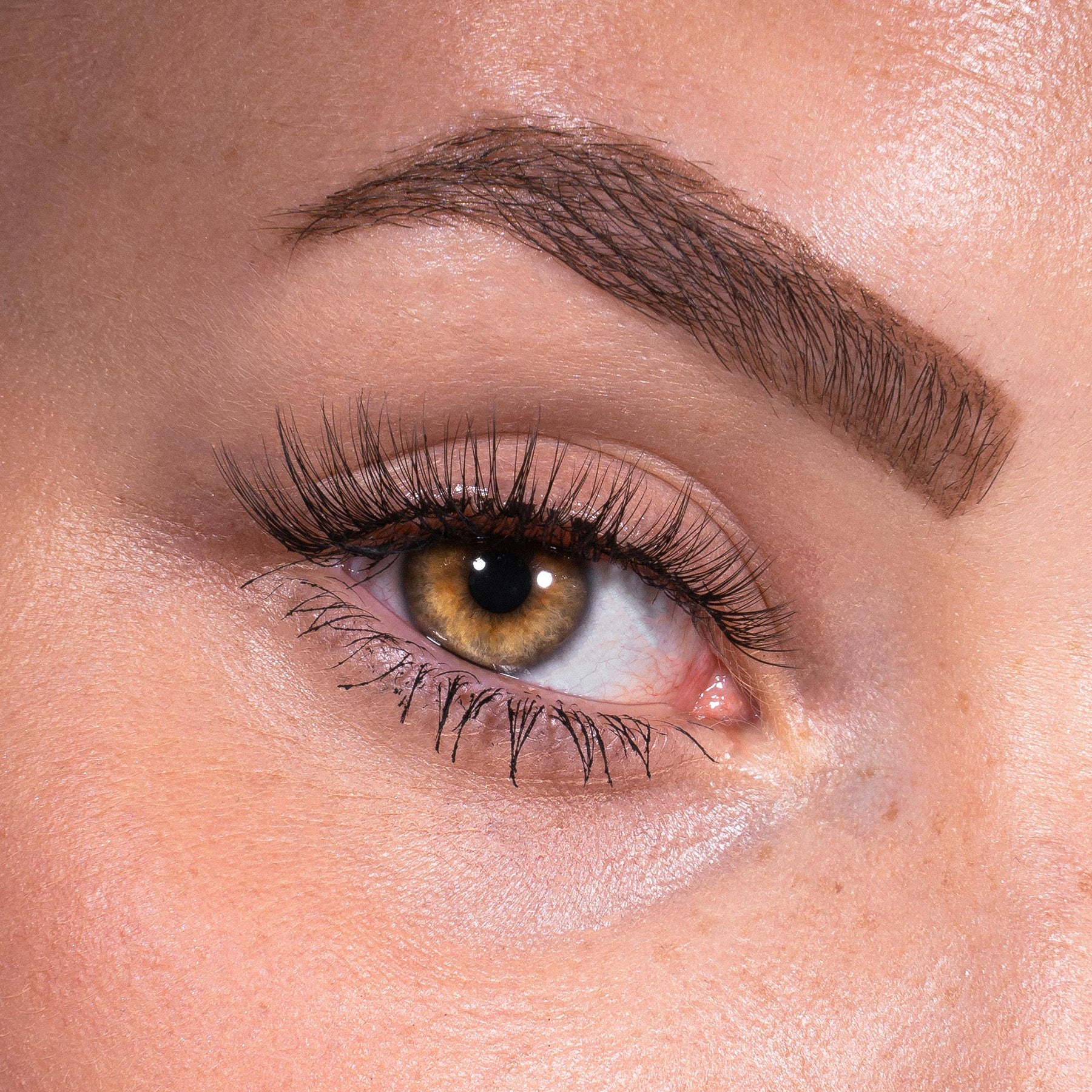 Bandless Lash Set - Cute