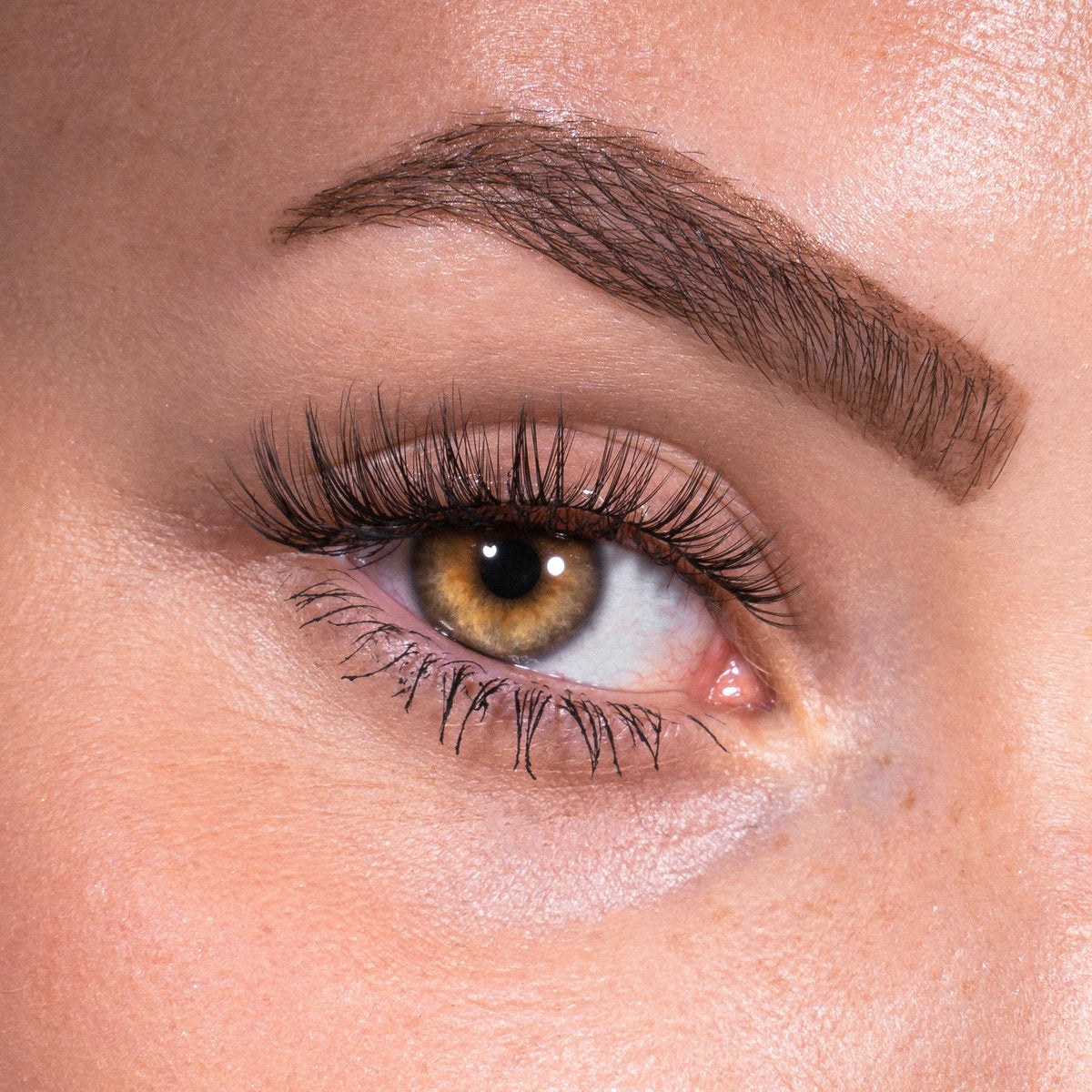Bandless Lash Set - Daisy