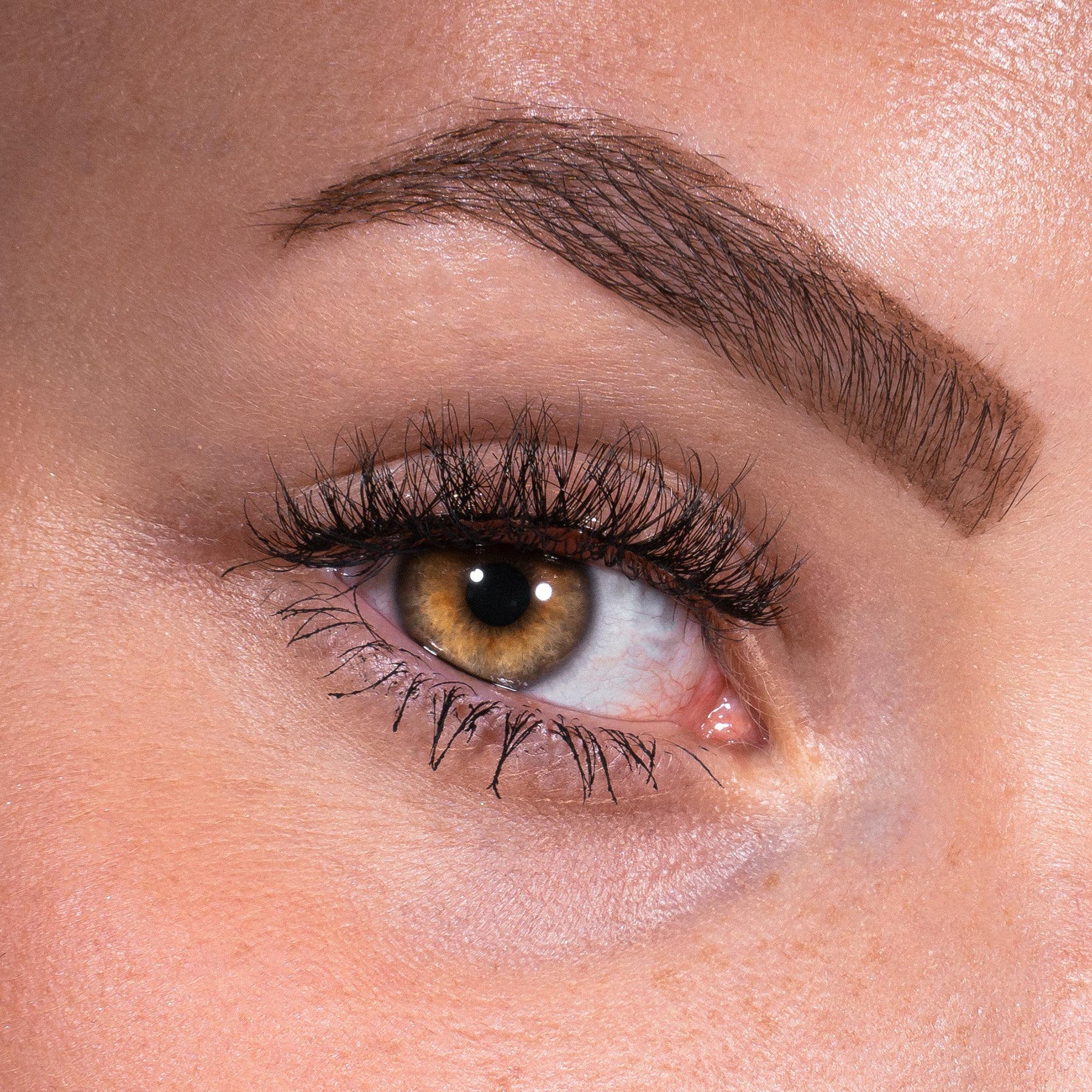Bandless Lash Set - Envious