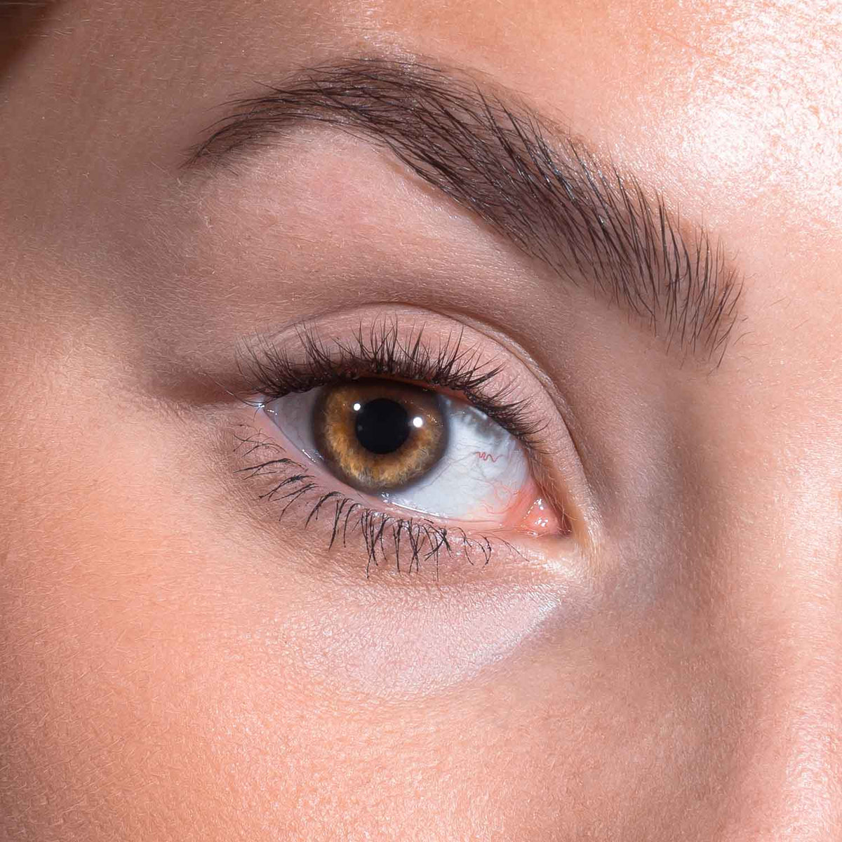 DIY Lash Starter Set - Flow