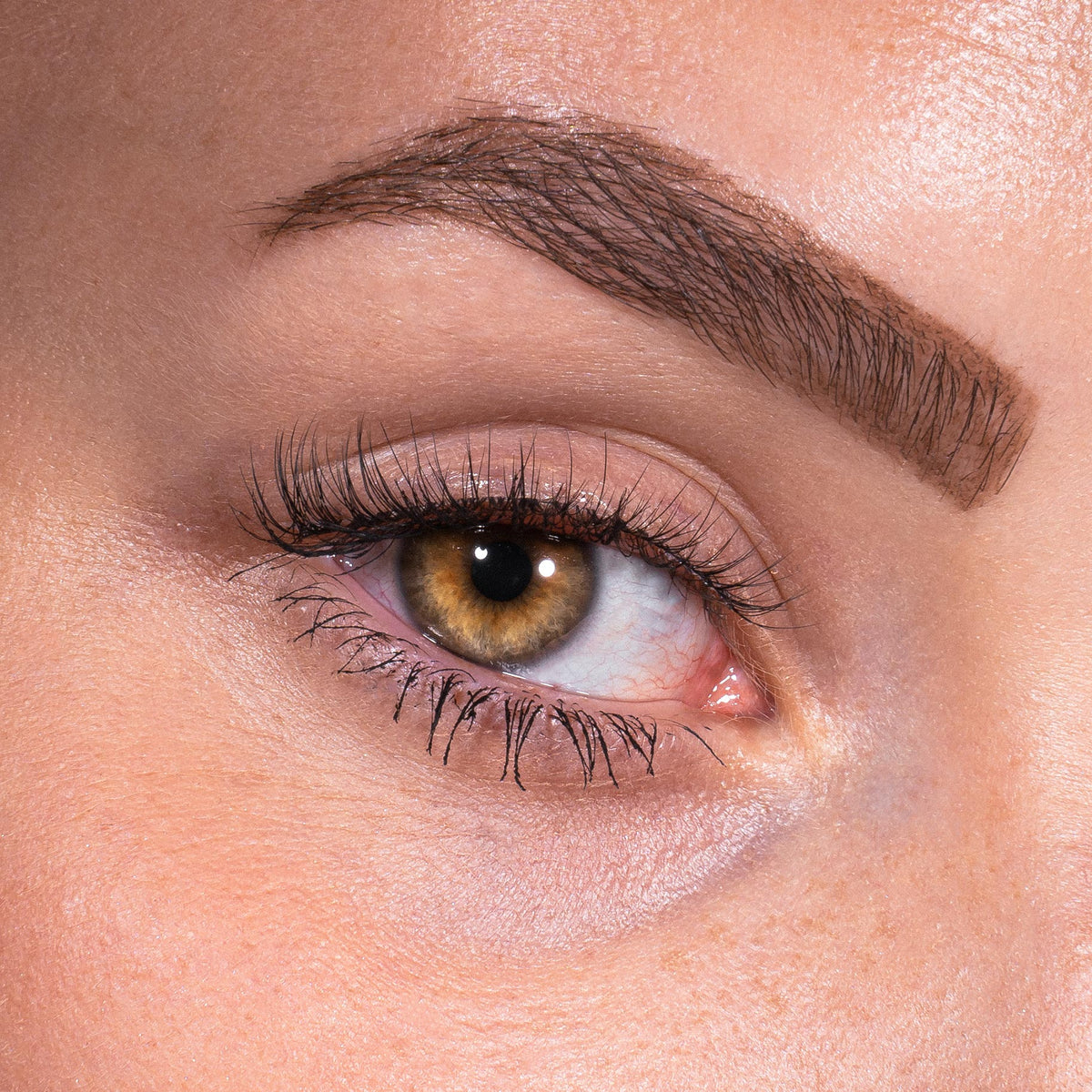 Bandless Lash Set - Lovely