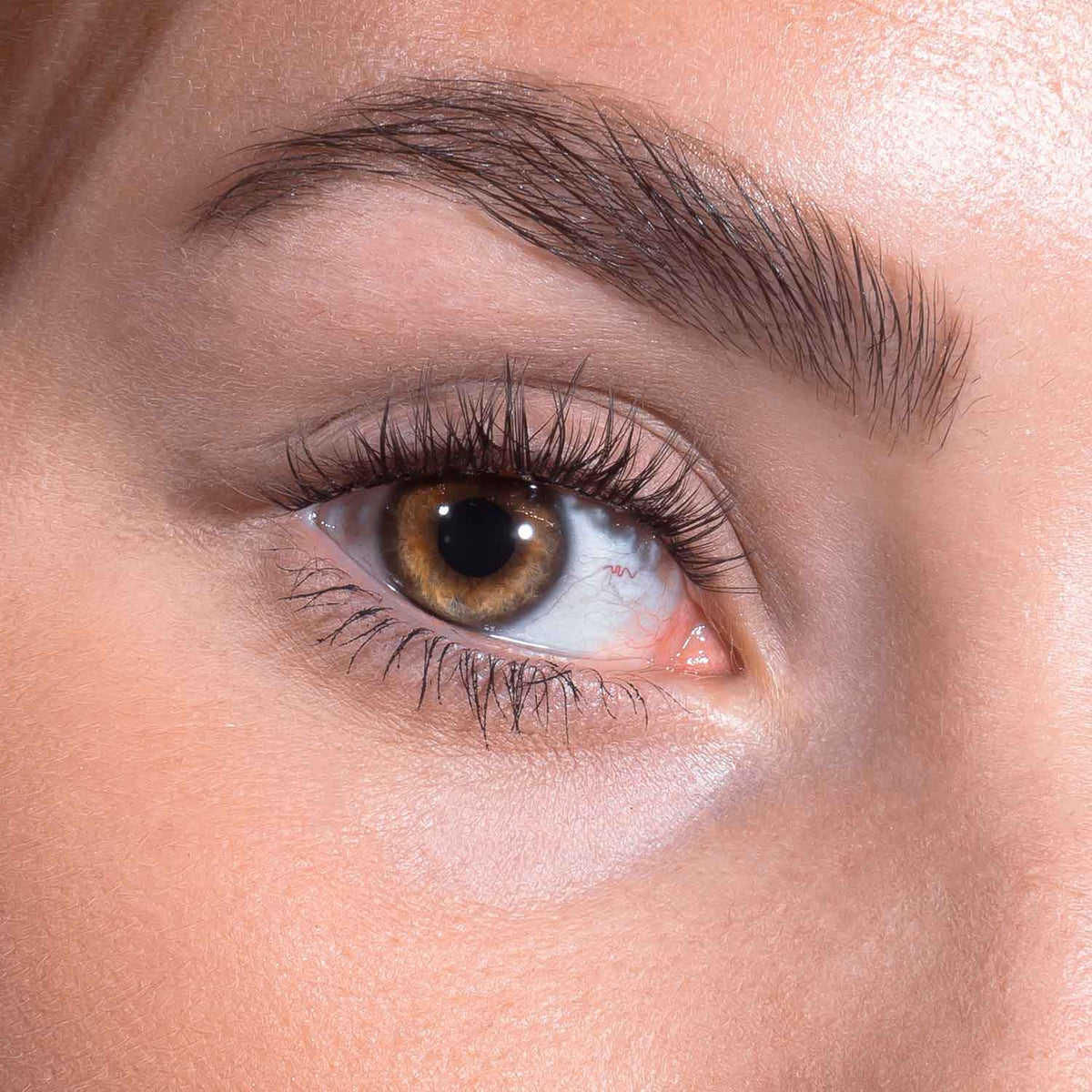 DIY Lash Starter Set - Natural