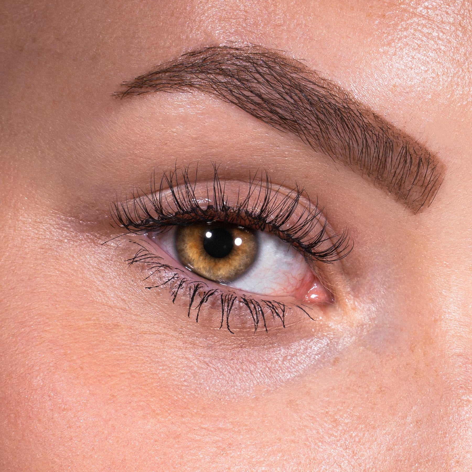 Bandless Lash Set - Natural