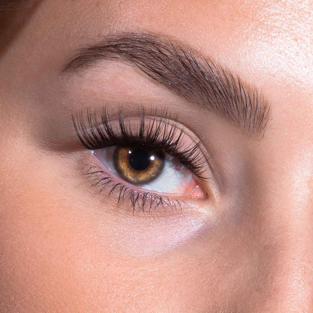 DIY Lash Bundle - Drama