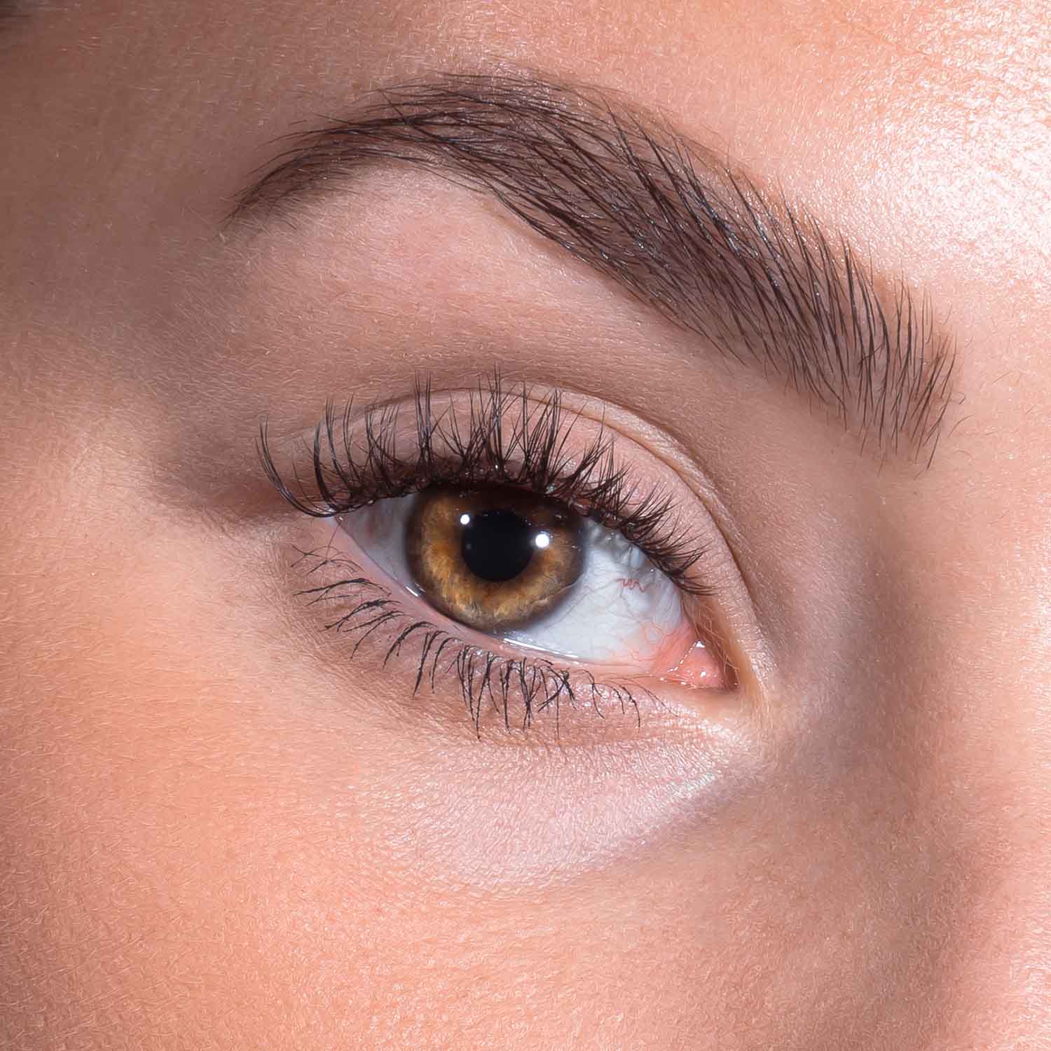 DIY Lash Starter Set - Pretty