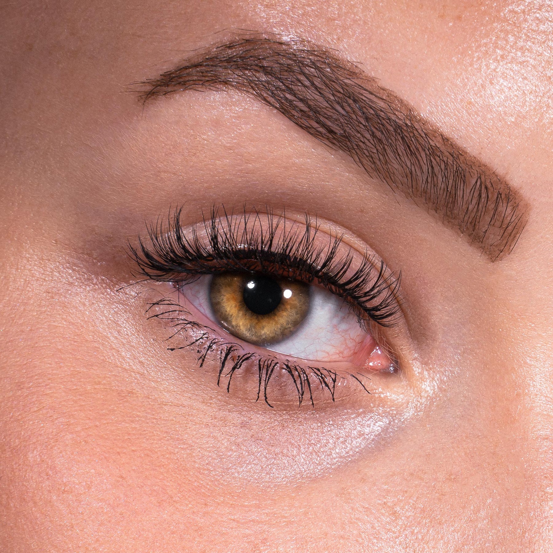 Bandless Lash Set - Shiny