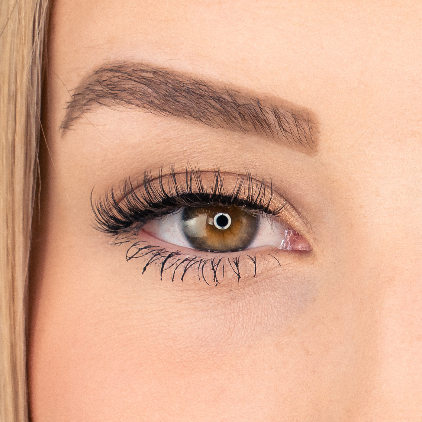Bandless Lash Set - Shiny