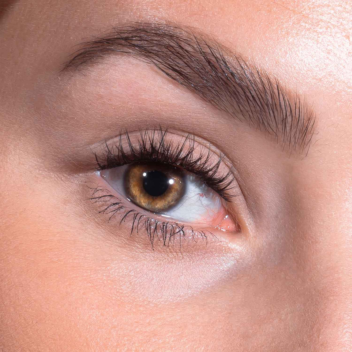 DIY Lash Starter Set - Timeless